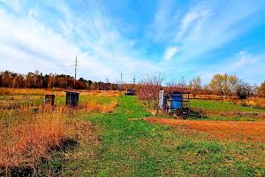 ділянка за адресою просп Миру