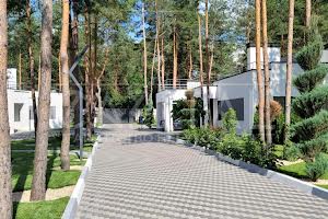 дом по адресу с. Рожевка, Броварський
