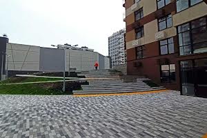 комерційна за адресою Олександра Олеся вул., 2-А