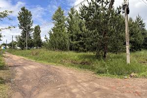 ділянка за адресою Лісова