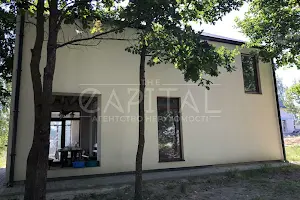 дом по адресу с. Дмитровка, Бучанський