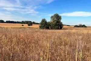 ділянка за адресою с. Михайлівка-Рубежівка, Патріотів