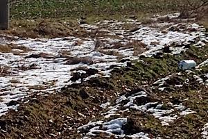 участок по адресу Академика Сахарова ул.