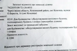 участок по адресу пгт. Козелец, О.Береста, 16