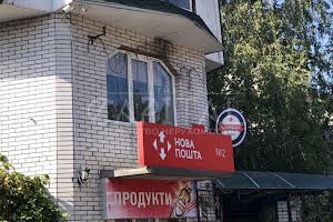 дом по адресу с. Хотяновка, Вишгородський