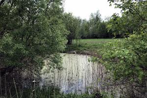 будинок за адресою Гагарина