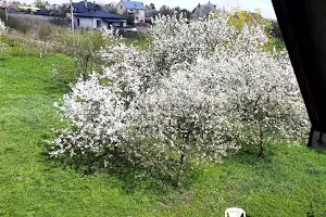 будинок за адресою Польова вул., 6