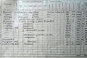 дом по адресу Паркова, 6