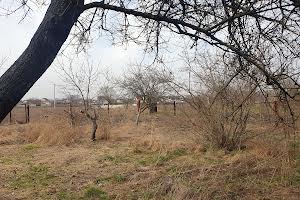 дом по адресу с. Рожны, Лісова