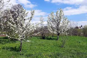 будинок за адресою Польова вул., 6
