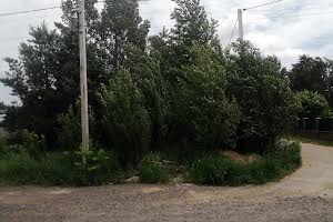 участок по адресу Максима Рыльского ул., 17
