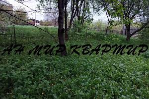 дом по адресу Шостаки, 1