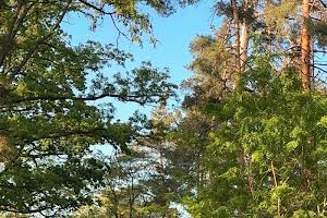 будинок за адресою вулиця Дахнівська, 25