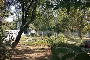 ділянка за адресою Русанівські сади вул.