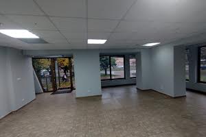 комерційна за адресою Михайла Грушевського вул., 55