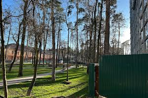 комерційна за адресою Соборна вул., 2