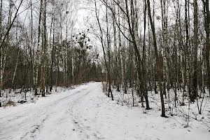 ділянка за адресою с. Дмитрівка, Гайова