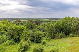 будинок за адресою Лісова