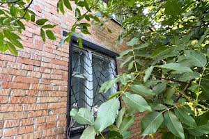будинок за адресою с. Дніпрове, Дніпрова
