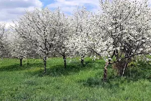 будинок за адресою Польова вул., 6