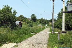 ділянка за адресою с. Рибне, 