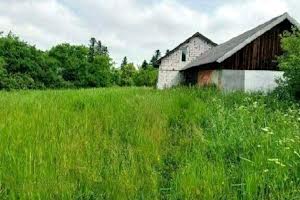 участок по адресу с. Новая Гута, Суха ліщина, 13