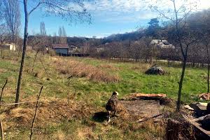 участок по адресу Бобрицька, 11