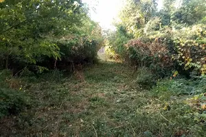 будинок за адресою Миру, 164а