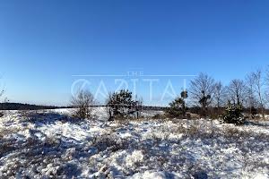 ділянка за адресою с. Гореничі, 