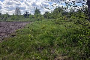 ділянка за адресою Вишпільська