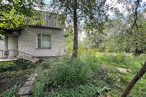будинок за адресою с. Дібрівки, Петра Сагайдачного вул.