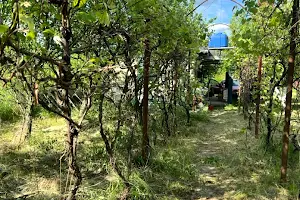 дом по адресу Латориця ул.