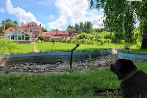 ділянка за адресою Новомiська вул.