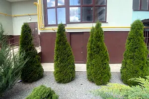 квартира по адресу Покрови ул., 14а