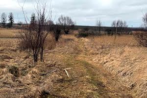 участок по адресу Шкільна
