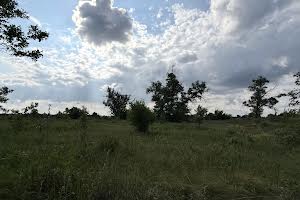 ділянка за адресою смт. Царичанка, 