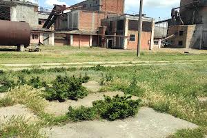 комерційна за адресою Болгарських Ополченців вул. (Асена Христєва), 1
