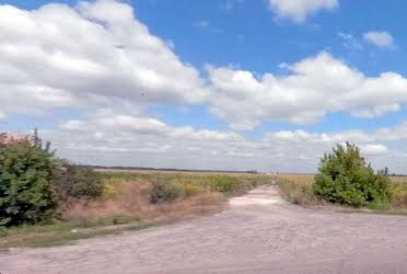 1825675133165101