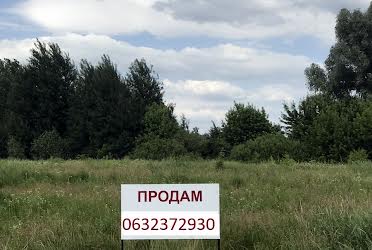 1816248817405104
