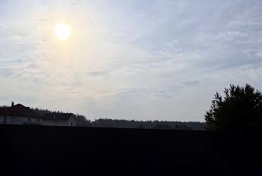 1831841295153113