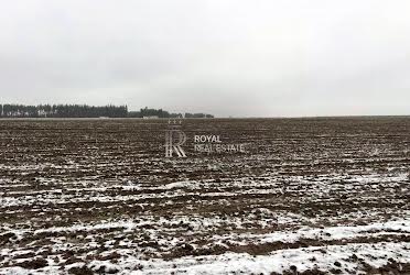 1835439259034122