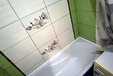 1833908330687142