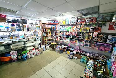 1831024464230167