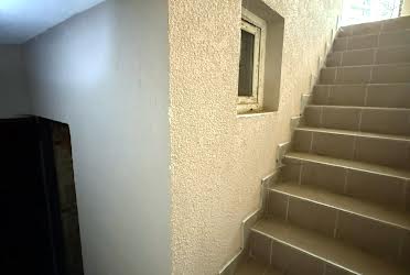 1831208249629181