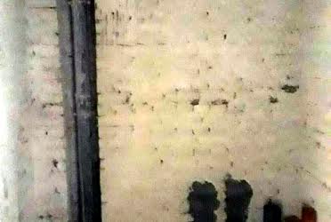 1833349064131192