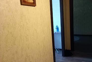 1831381838668194