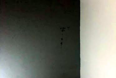 1835162419179210