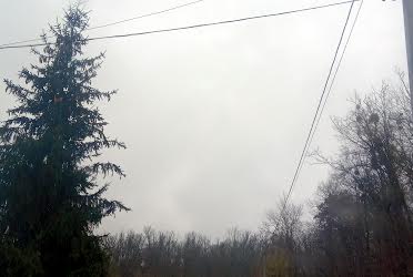 1781462398093023