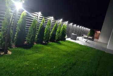 1703636443502234