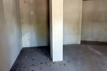 1835995957828238